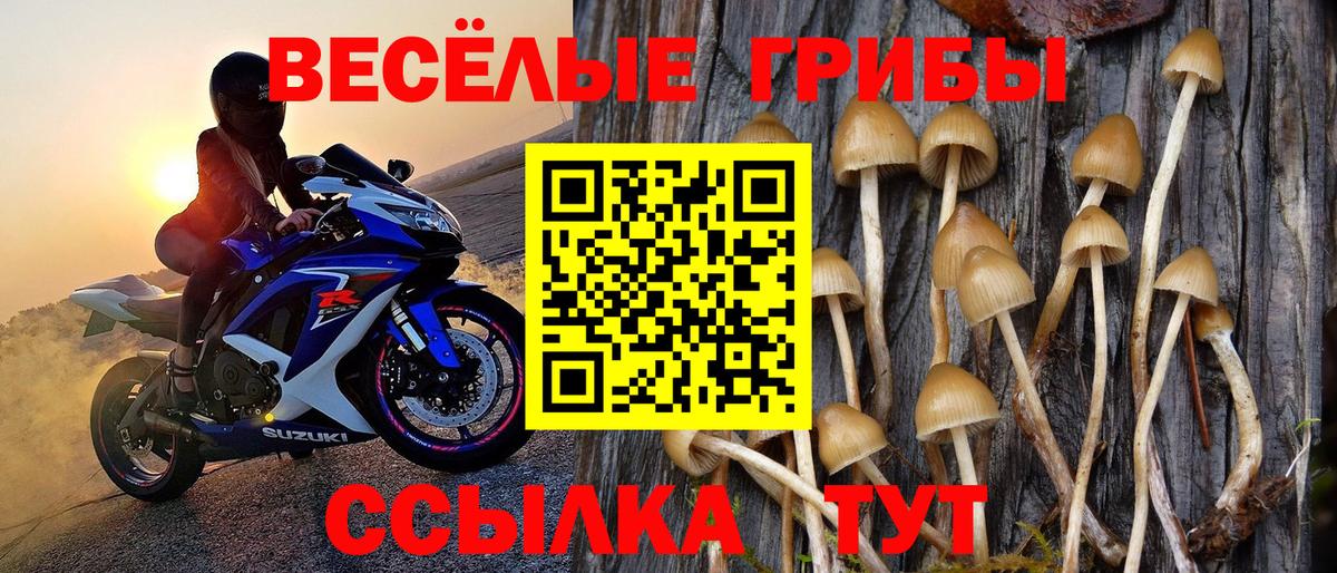 продажа наркотиков  Галлюциногенные грибы Magic Shrooms  Калач-на-Дону  Вход с VPN  Псилоцибиновые грибы мухоморы 
